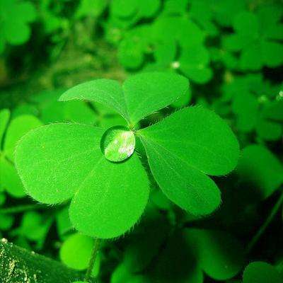 快盈lV购彩大厅app下载截图